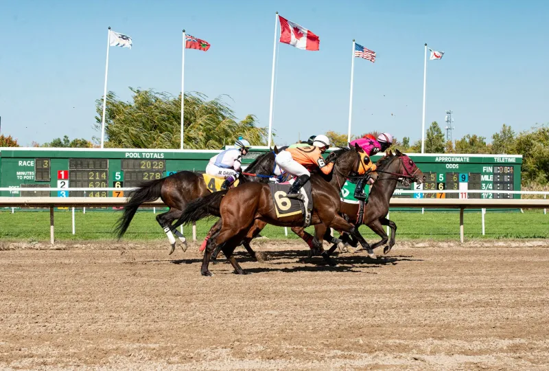 One More Leg Won't Hurt: The Brutal Math Behind Parlay Betting