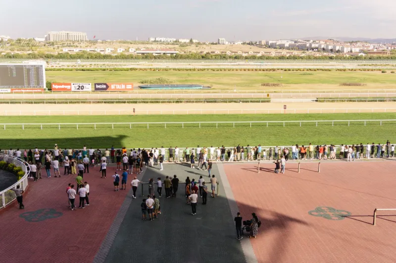Follow the Smart Money: How Sharp Bettors Move Lines and What That Means for Your Next Wager